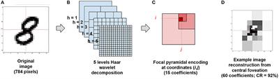 Active Fovea-Based Vision Through Computationally-Effective Model-Based Prediction